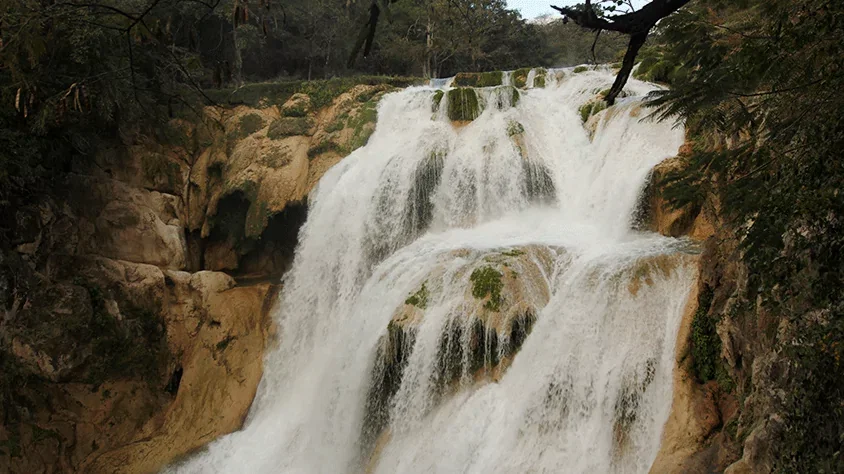 Huasteca especial
