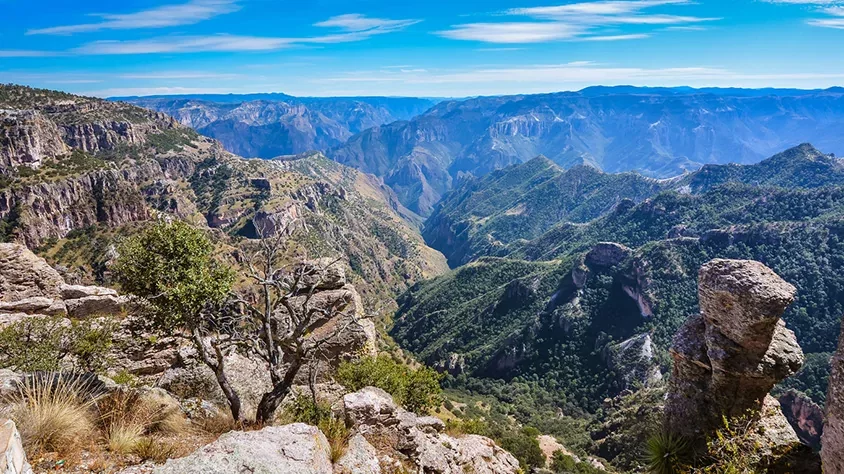 Tesoros de la Sierra