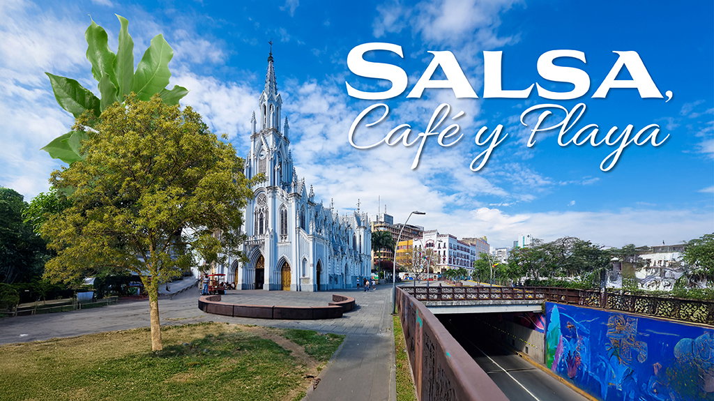 Salsa, Café y Playa